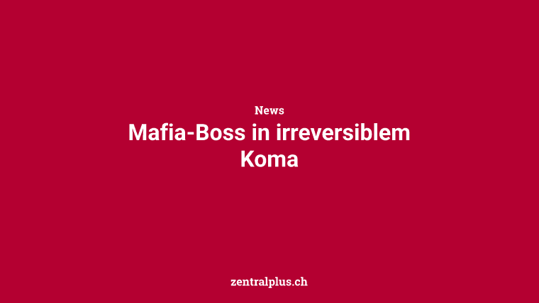 Mafia-Boss in irreversiblem Koma