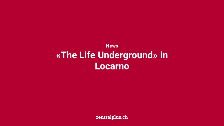 «The Life Underground» in Locarno