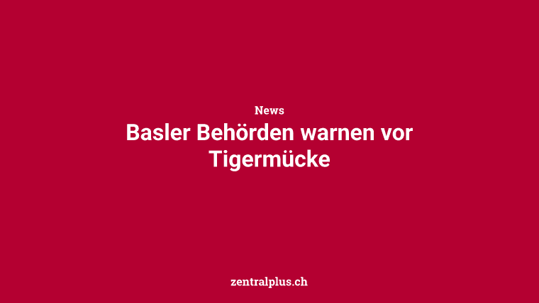 Basler Behörden warnen vor Tigermücke
