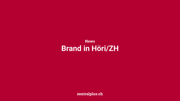 Brand in Höri/ZH