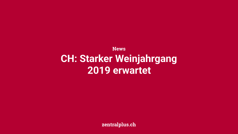 CH: Starker Weinjahrgang 2019 erwartet