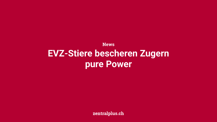 EVZ-Stiere bescheren Zugern pure Power