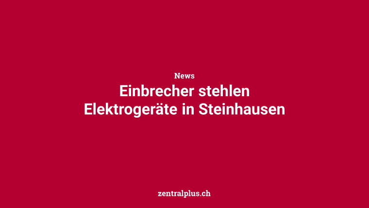 Einbrecher stehlen Elektrogeräte in Steinhausen
