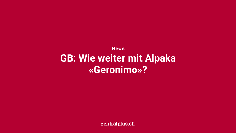 GB: Wie weiter mit Alpaka «Geronimo»?