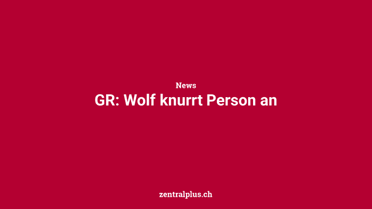 GR: Wolf knurrt Person an
