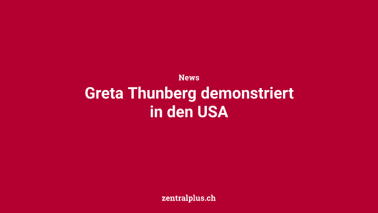 Greta Thunberg demonstriert in den USA