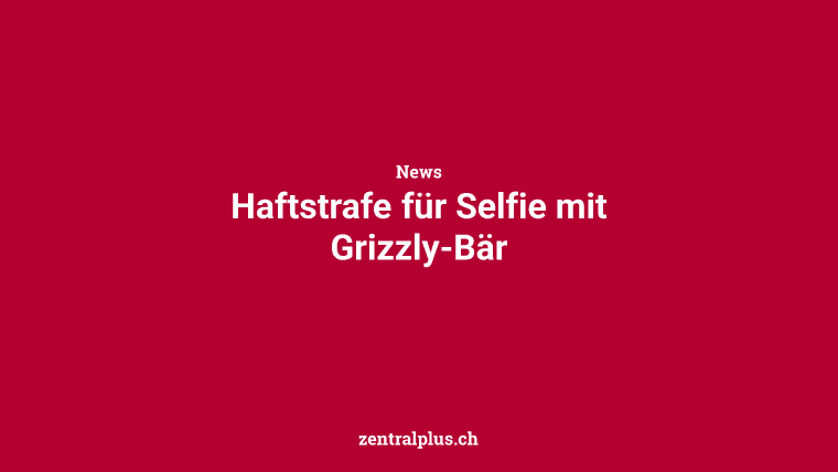 Haftstrafe für Selfie mit Grizzly-Bär