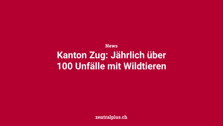 Kanton Zug: Jährlich über 100 Unfälle mit Wildtieren