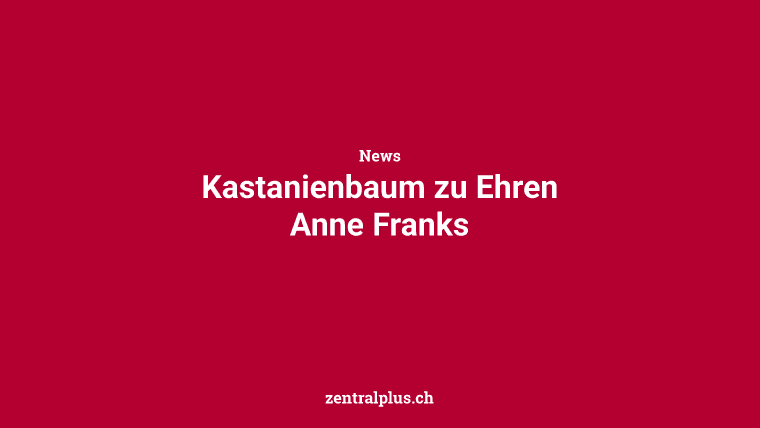 Kastanienbaum zu Ehren Anne Franks