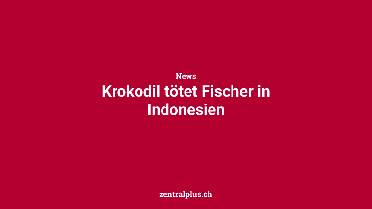 Krokodil tötet Fischer in Indonesien