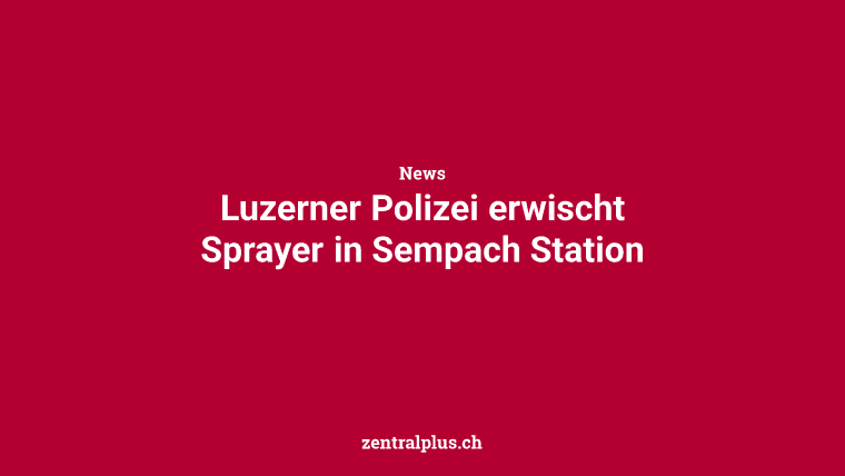 Luzerner Polizei erwischt Sprayer in Sempach Station