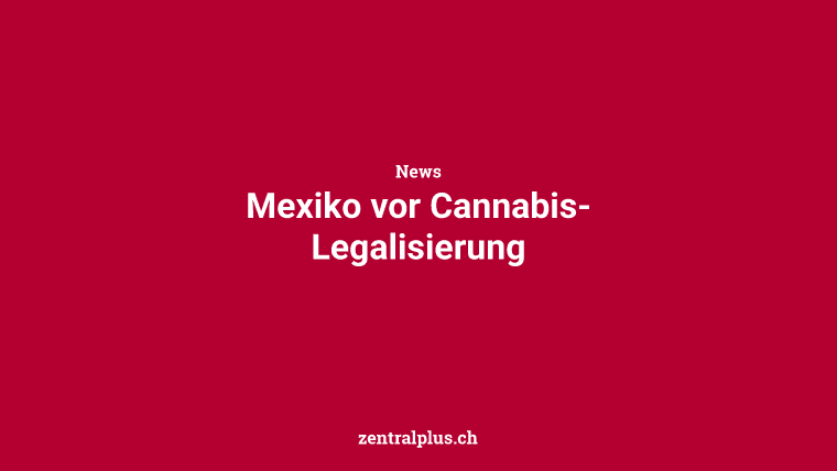 Mexiko vor Cannabis-Legalisierung