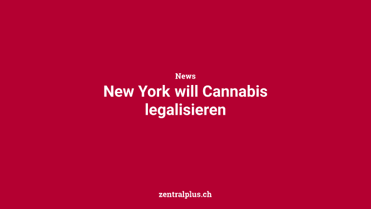 New York will Cannabis legalisieren