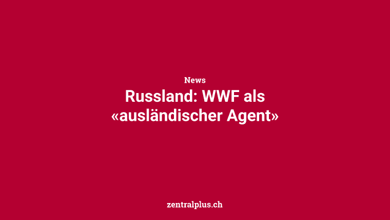Russland: WWF als «ausländischer Agent»
