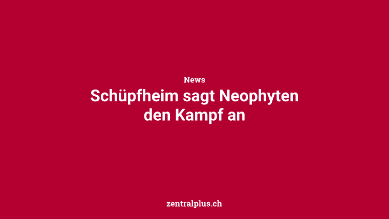 Schüpfheim sagt Neophyten den Kampf an