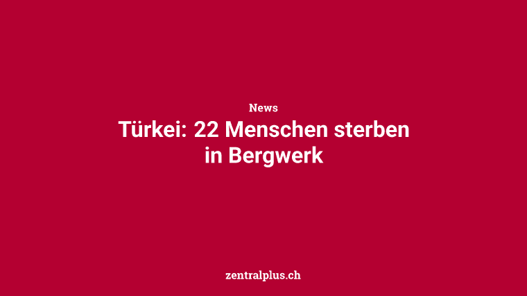 Türkei: 22 Menschen sterben in Bergwerk