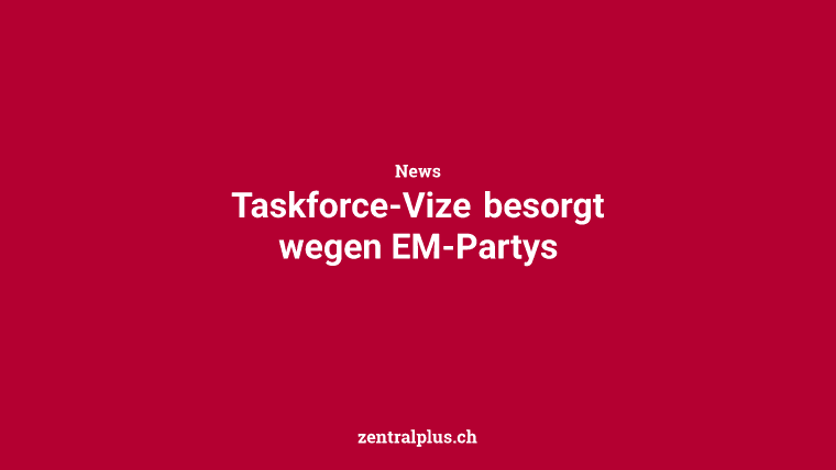 Taskforce-Vize besorgt wegen EM-Partys