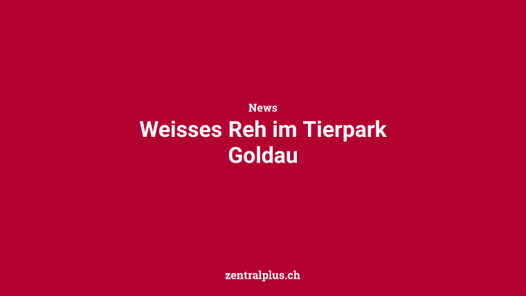Weisses Reh im Tierpark Goldau