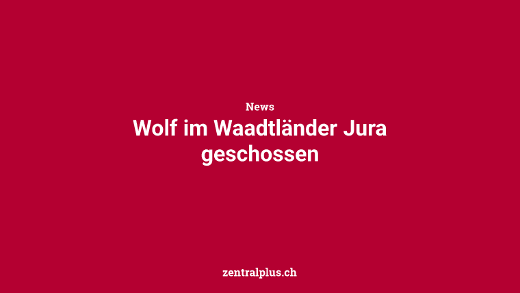 Wolf im Waadtländer Jura geschossen