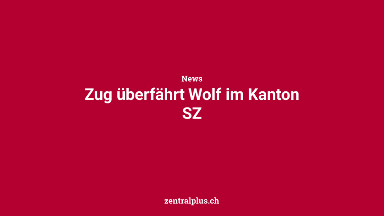 Zug überfährt Wolf im Kanton SZ