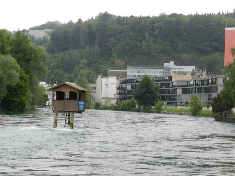 Nur für gute Schwimmer und auf eigenes Risiko: Schwimmen in der Reuss.