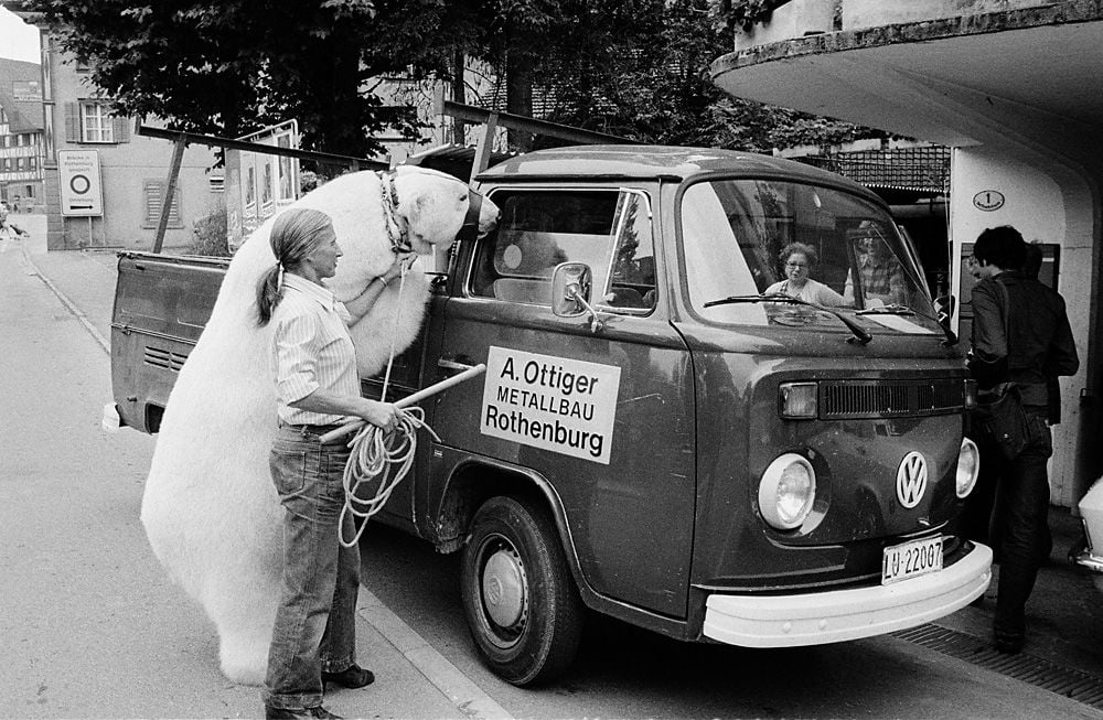 Ammons' Lieblingsbild aus den 70ern: Wie Eisbär  «Baby» 1976 in Rothenburg spazieren geht.