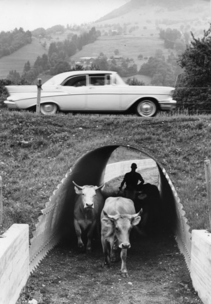 Eine Strassenunterführung fürs Vieh aus dem Jahr 1964. (Bild: Arnold Odermatt)
