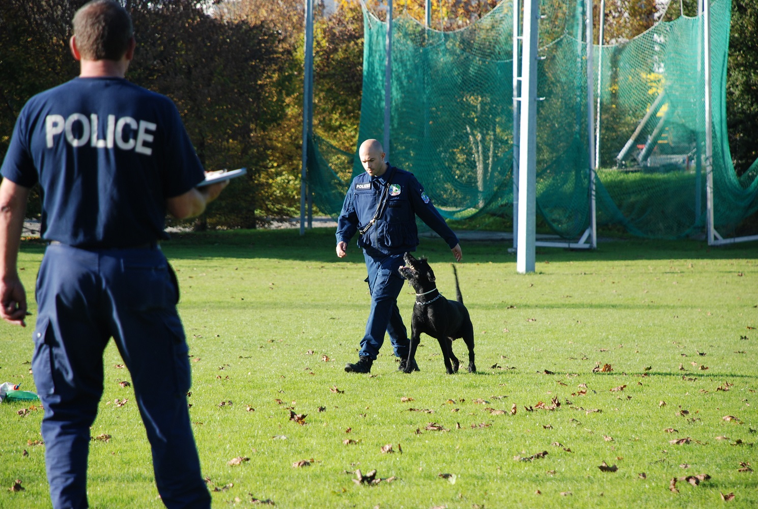 Polizeihundeprüfung in Rotkreuz