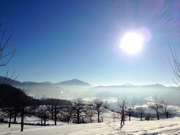 Geniessen Sie die herrliche Sicht auf Rigi und Zugerberg.