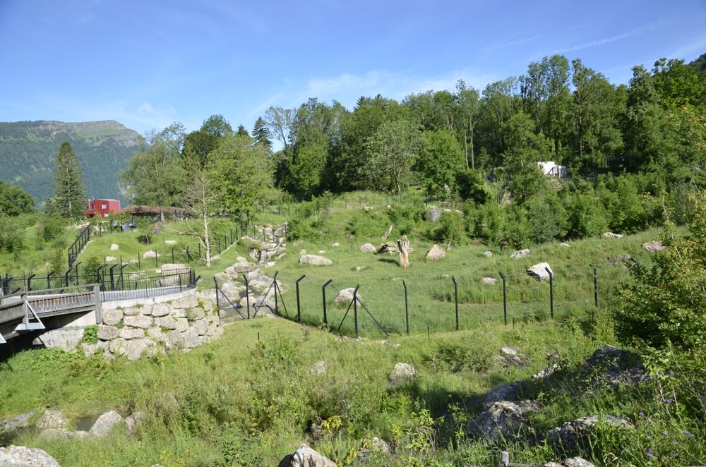 Das Gehege der Bären und Wölfe im Tierpark Goldau wird regelmässig überprüft. (Bild: zvg)
