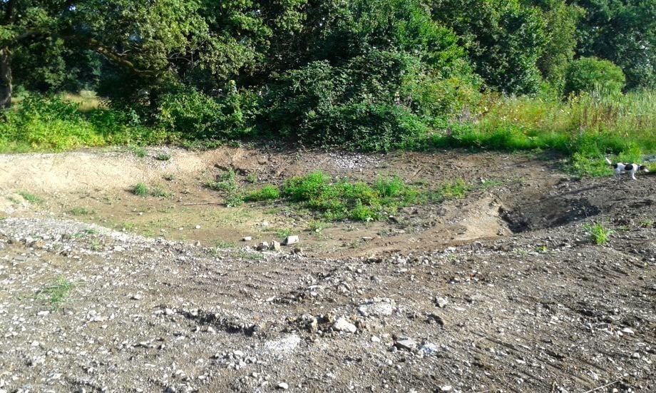 Anstelle von Gewässern findet man auf dem Areal der ehemaligen Schiessanlage eine Kraterlandschaft.