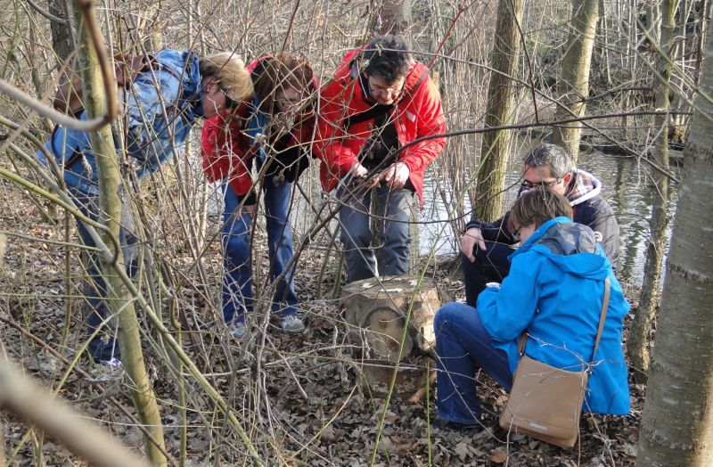 Auf Spurensuche im Wald: Eine Gruppe versucht, ein Rätsel von Swiss Local Travel zu lösen.