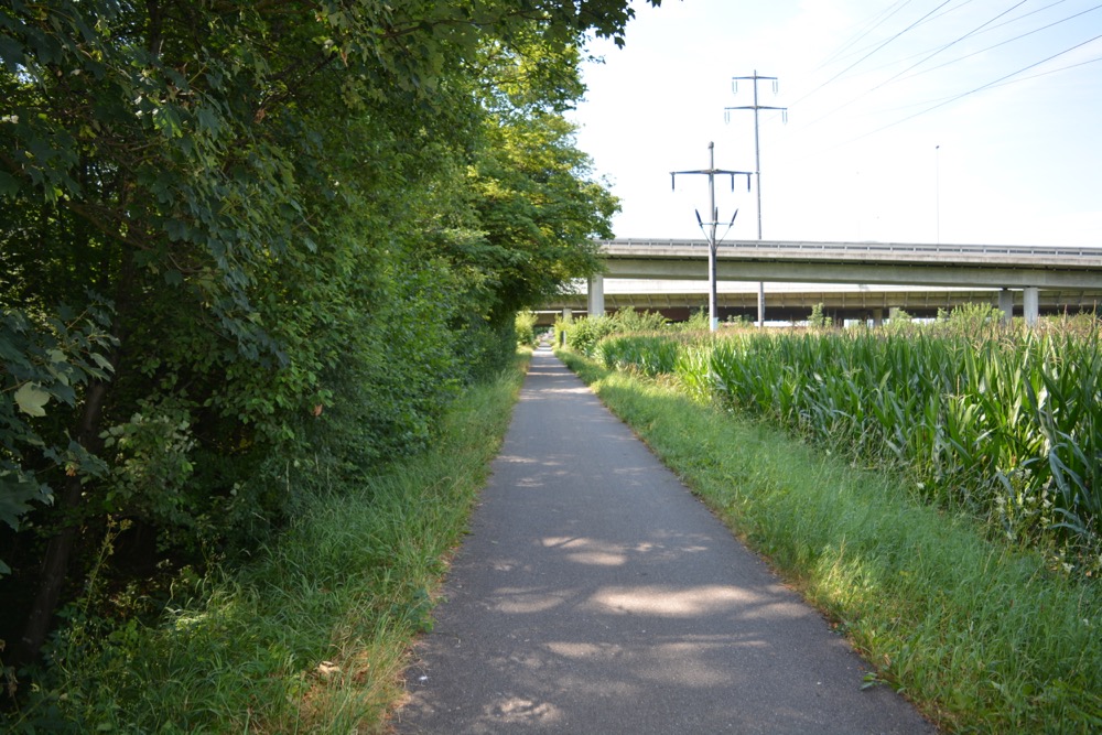 Hier ist es passiert: Dammweg am Ufer der Reuss in Emmen.