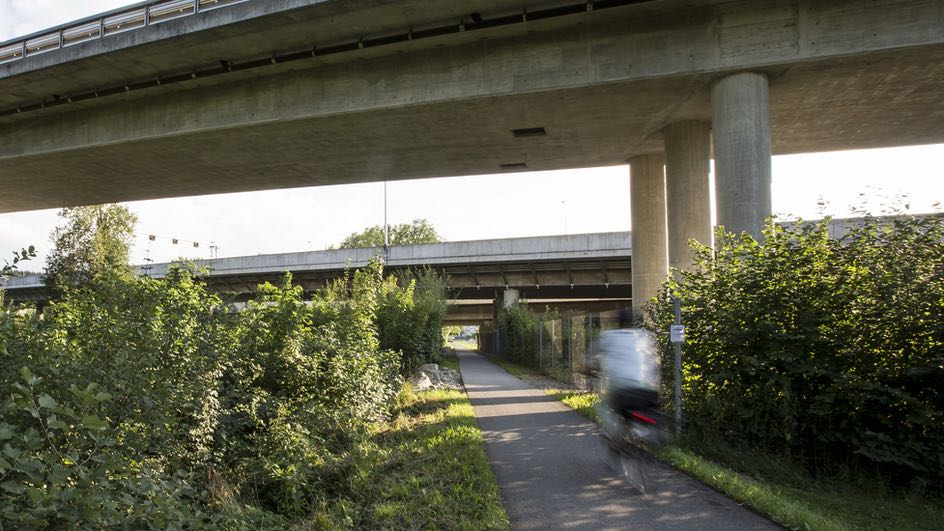 Im Juli dieses Jahres wurde hier am Dammweg in Emmen eine Frau vom Velo gerissen und vergewaltigt. Die Strafverfolgungsbehörden ermitteln noch immer nach dem Täter. (Bild: SRF)