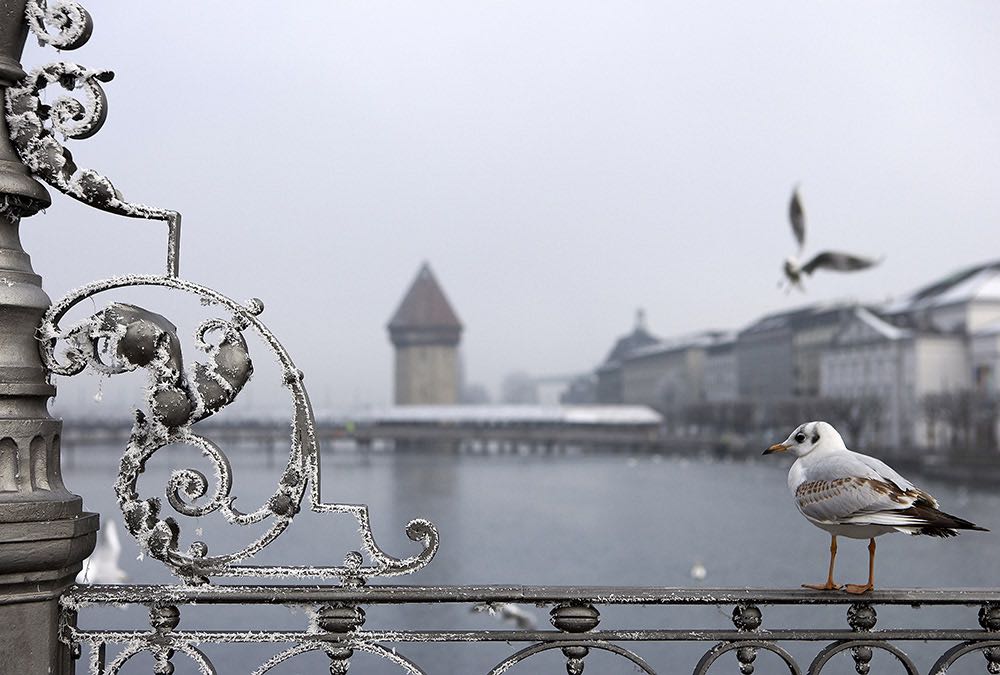 Die Kapellbrücke vom Reusssteg aus fotografiert. (Bild: Gabriel Ammon/AURA)