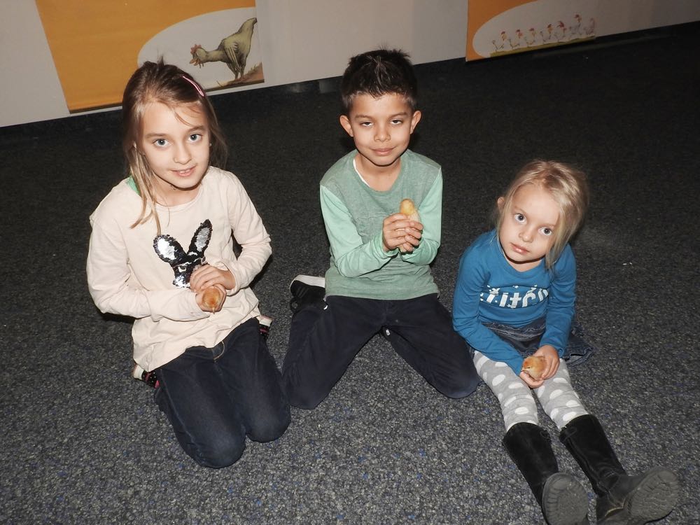 Jasmin, Elias und Eva (v.l.) sind bereits zum dritten Mal im Natur-Museum Luzern.