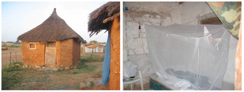 So lebte Schärli in Eritrea. Links die Lehmhütte, rechts sein Bett.