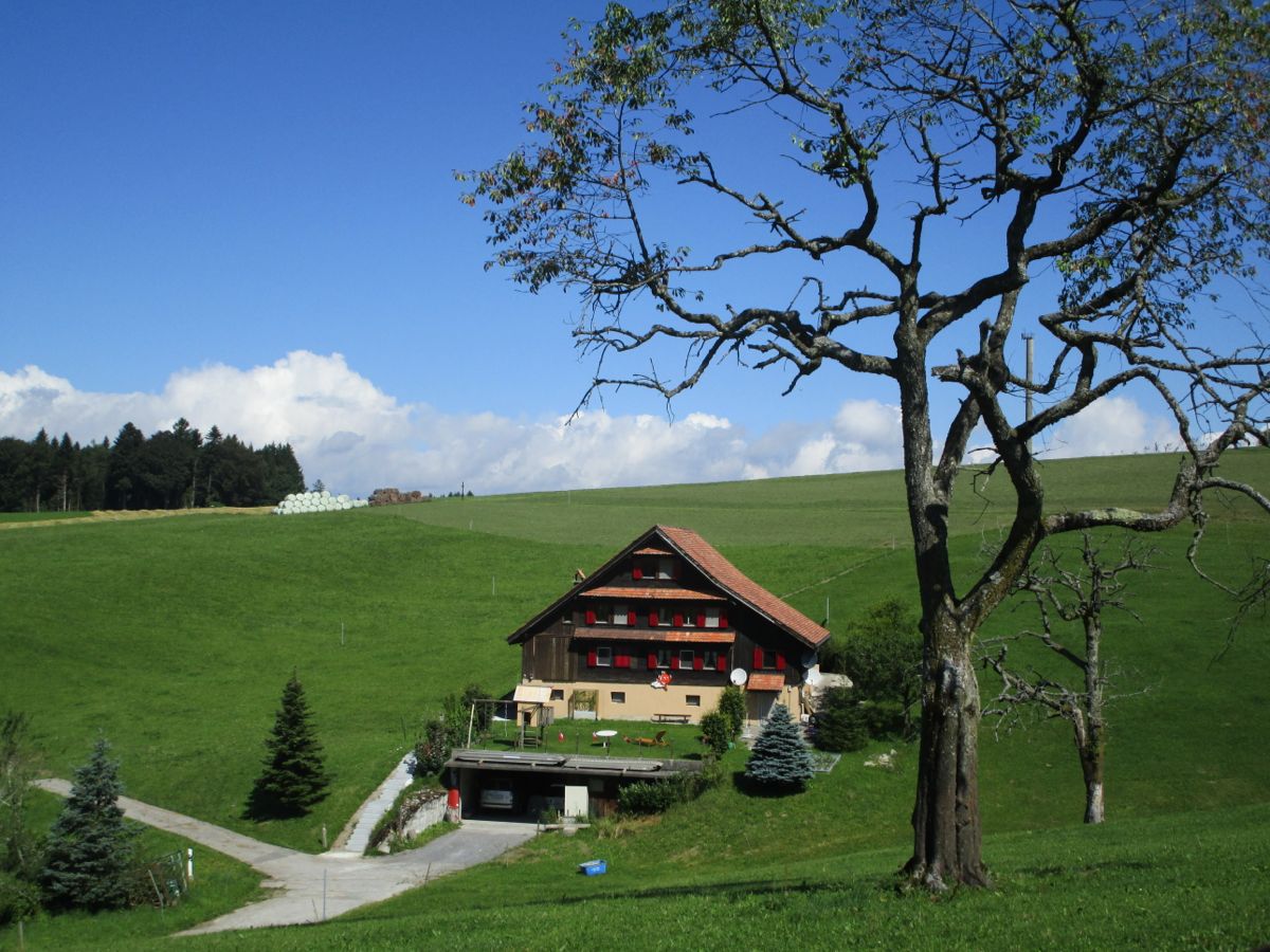 Das idyllisch gelegene Wohnhaus beim Gubel, wo Birchlers Mieter sind und das Landleben geniessen.