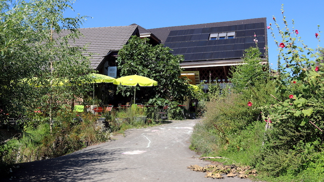 Der Haldihof setzt auf Biodiversität und versucht, von den natürlichen Kreisläufen zu profitieren.