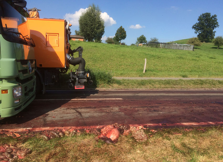 Verletzt wurde niemand – sieht aber anders aus. (Bild: Luzerner Polizei)