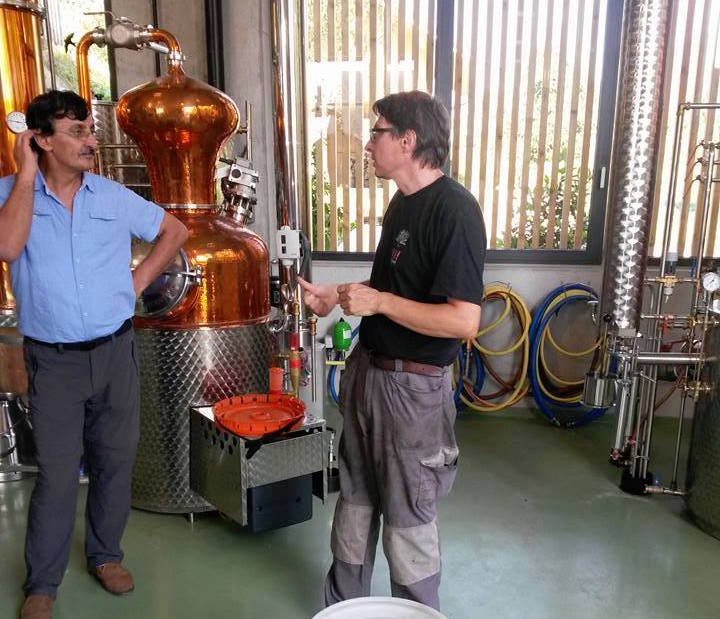 Der Grüne Kantonsrat Ali Celik lässt sich von Bruno Muff das Vergären von Mirabellen für Destillate erklären.