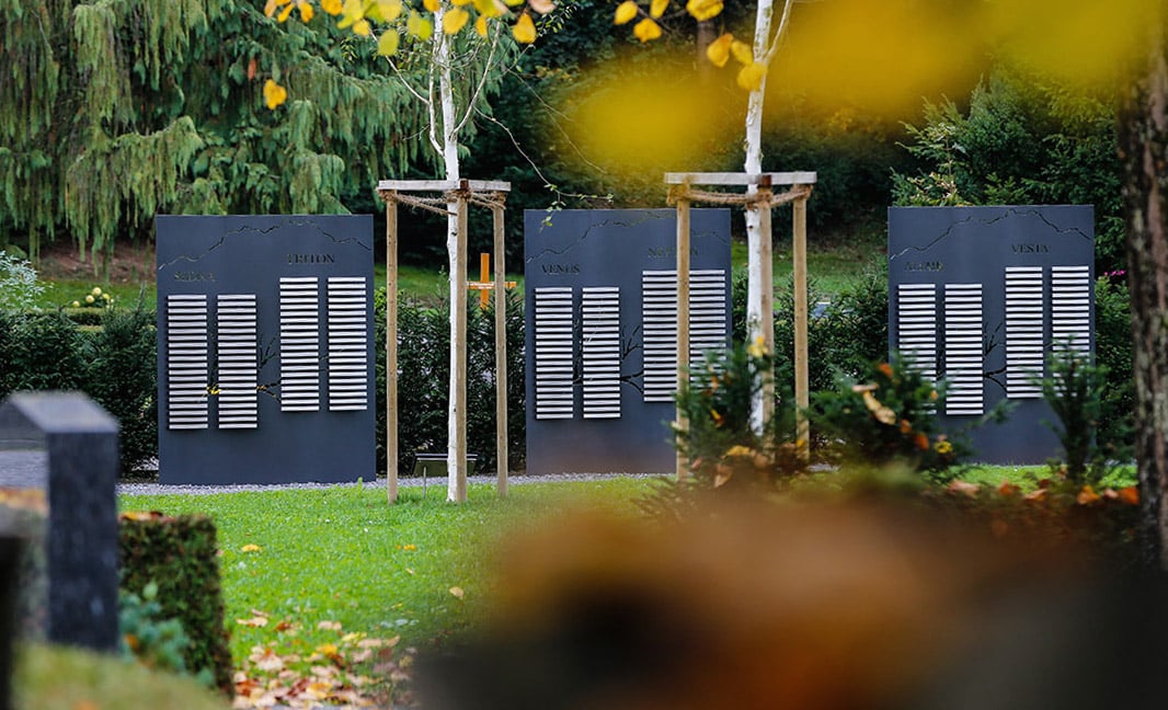 Der Friedhof Anderallmend bietet auch Baumgräber an. (Bild: Benedikt Anderes)