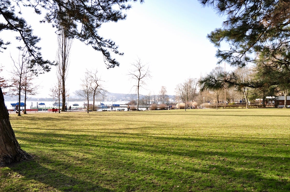 Um diese Wiese geht es: Blick vom Parkplatz in Richtung Yachthafen.