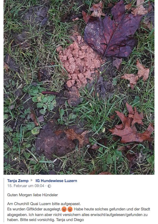 Das Foto, welches Tanja Zemp auf Facebook postete, zeigt den angeblichen Giftköder.