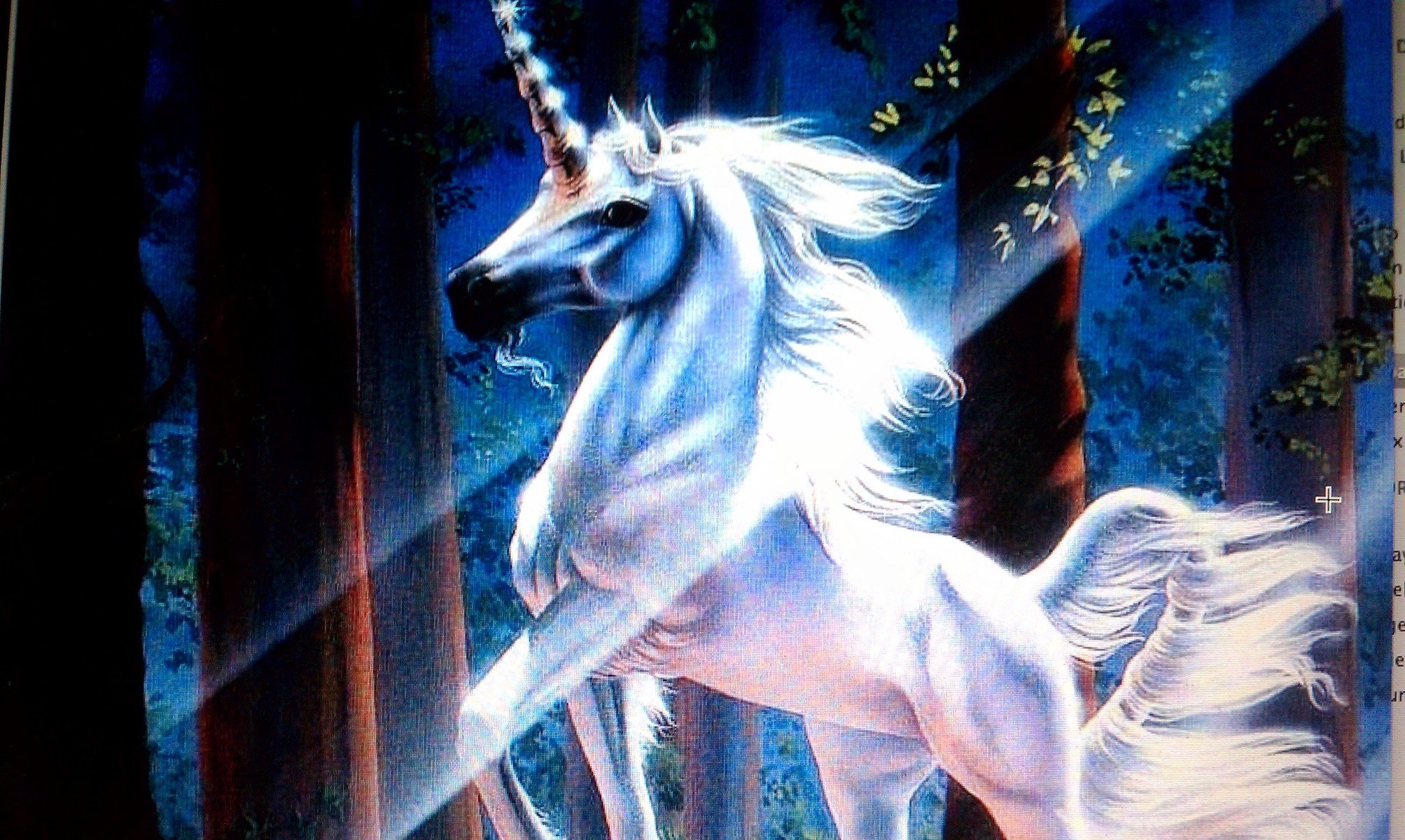 Какие есть единороги. Единорог. Белый Единорог. Сказочный Единорог. Лошади волшебные.