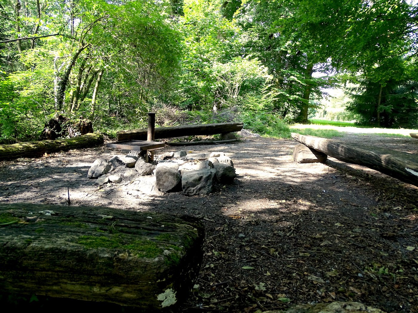 Wer lauscht, hört womöglich noch eine Klaviersonate: Der Platz im Wald direkt beim Dreilindenpark.