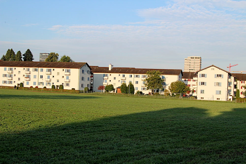 Der Abriss naht: Diese drei Häuserblocks aus den 50-er Jahren am Lauriedhofweg weichen 40 preisgünstigen Wohnungen bis im Herbst 2019.