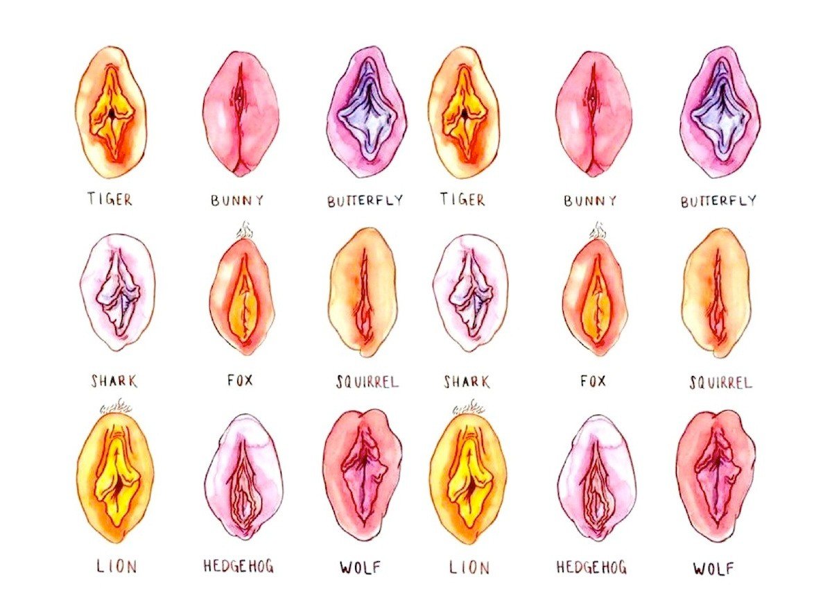 Free Different Types Of Vagina Chart. 
