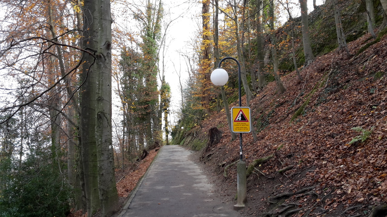 Anfang Dezember für zwei Wochen gesperrt: der Tribschenhornweg, rechts oben die Felswand.