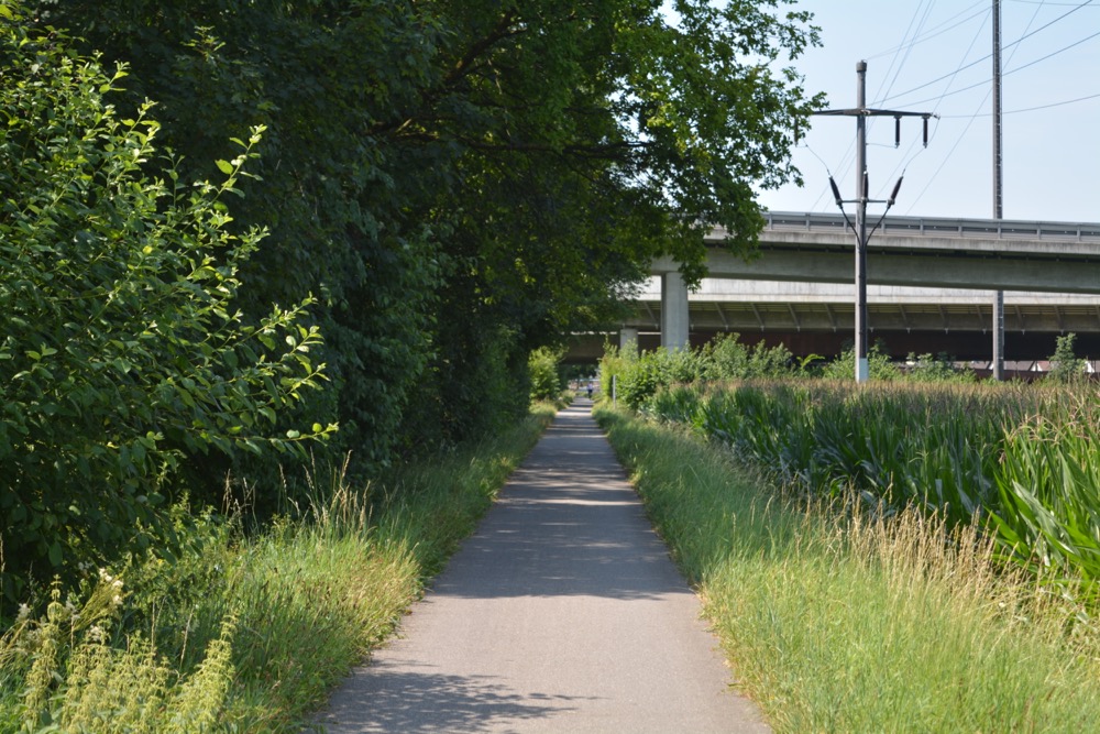 Hier ist es passiert: Dammweg am Ufer der Reuss in Emmen.